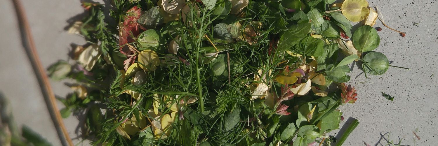 mujinga's profile banner image