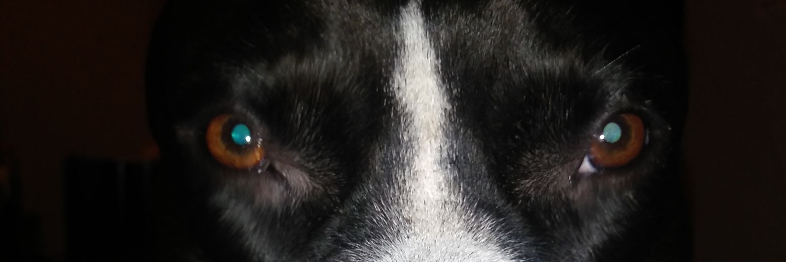 MoneyMikeSays's profile banner image