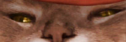 CEvilPaladin's profile banner image