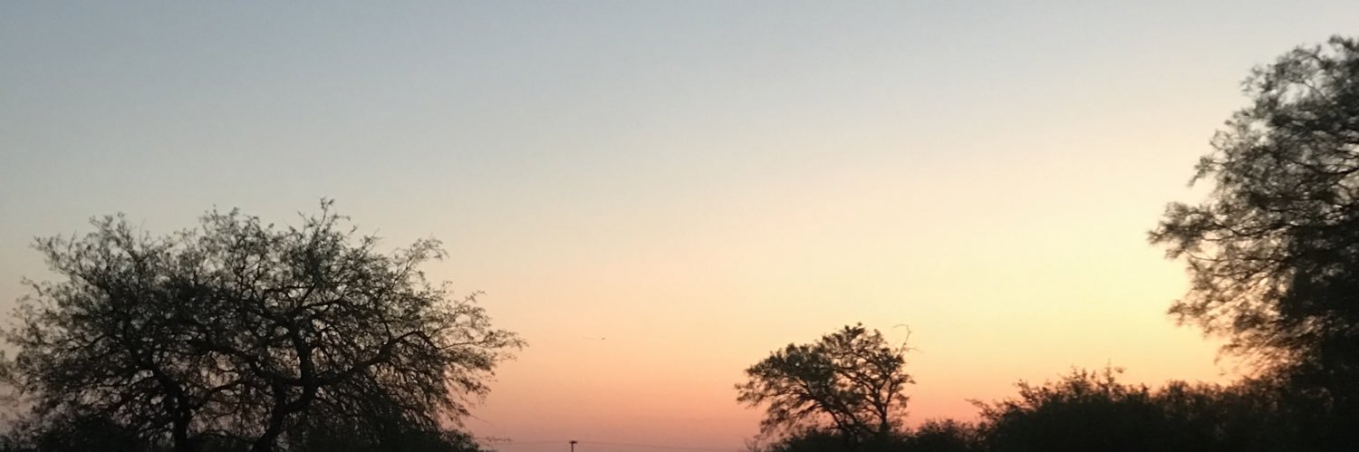 GuadaKristal's profile banner image