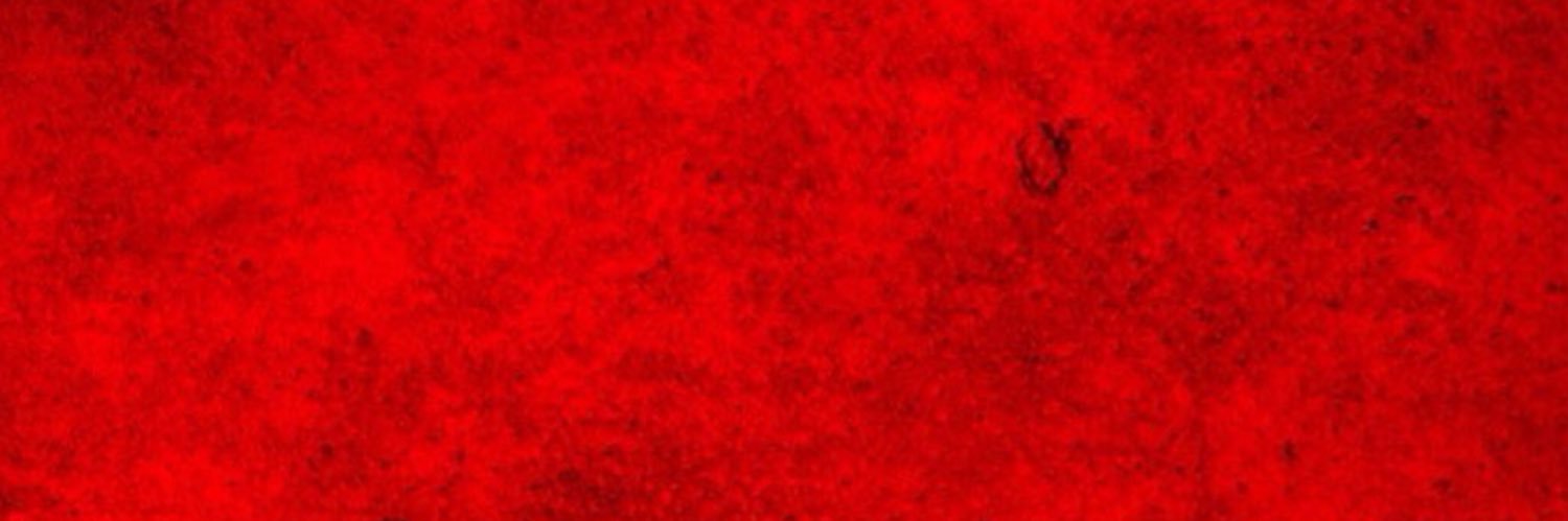 Zaur Aliyarov's banner