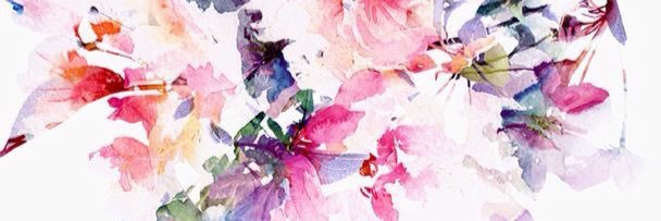 Isacarvalloa's profile banner image