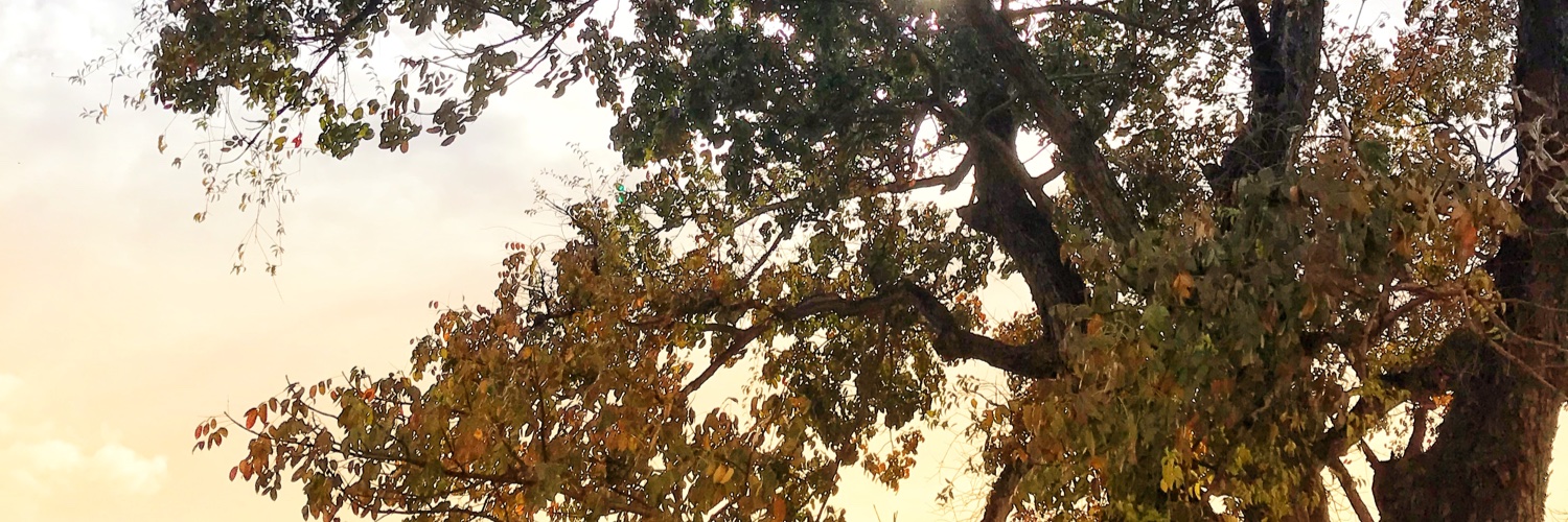 randol_rc's profile banner image