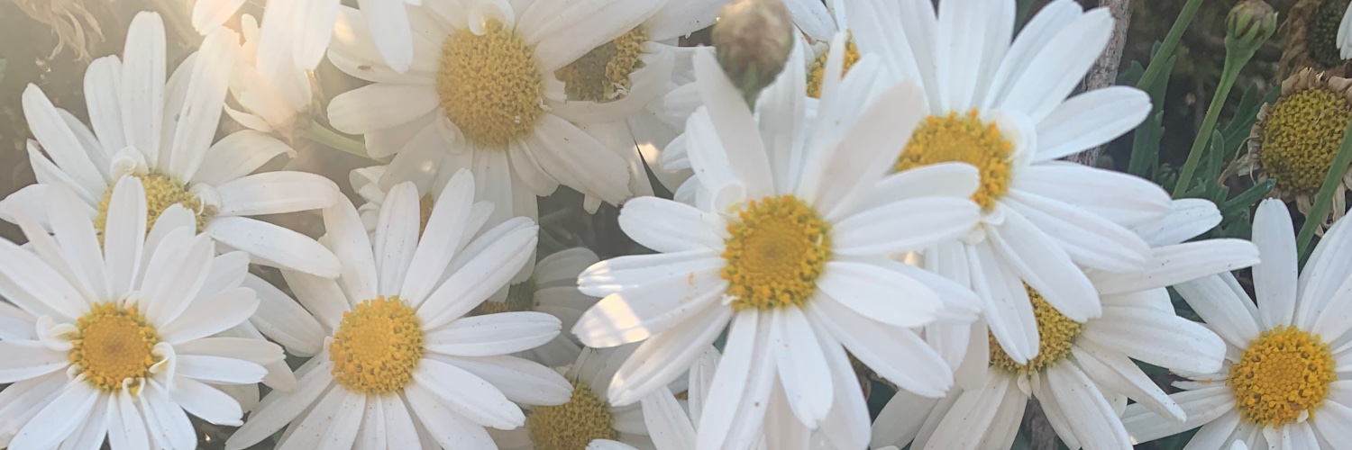 lyndsfran's profile banner image
