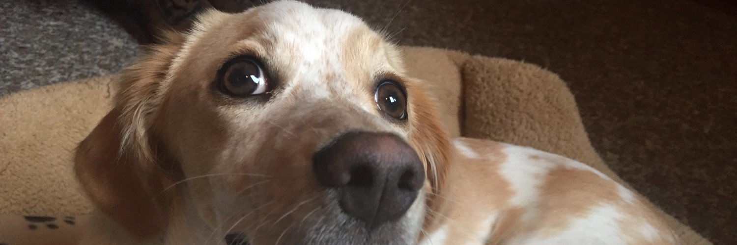 MFMarty's profile banner image