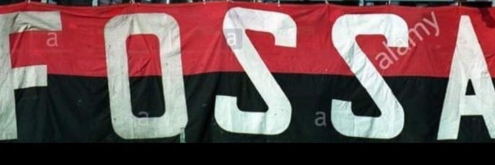 stefanofloriani🏆🏆🏆🏆🏆🏆🏆 banner