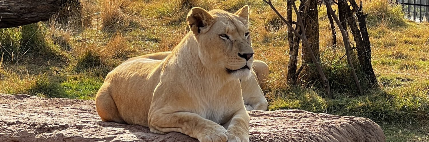 Ruezab's profile banner image