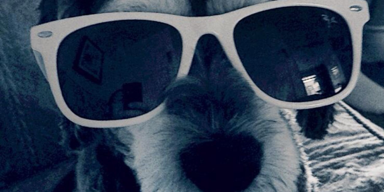 James Marriott™ banner