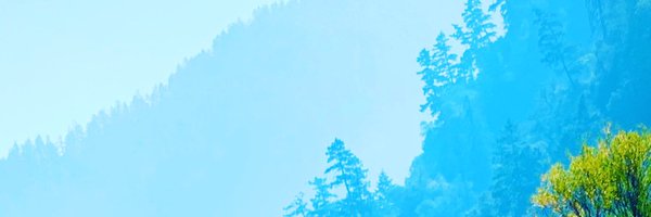 louebagels Profile Banner