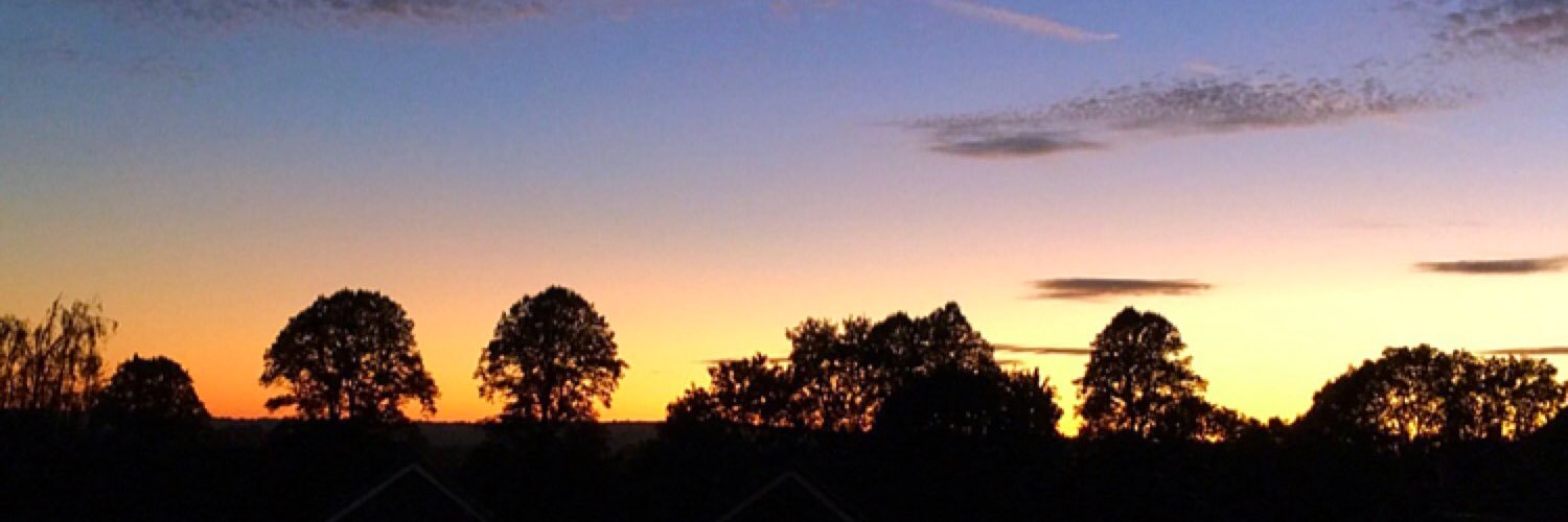 LorrainePreedy's profile banner image