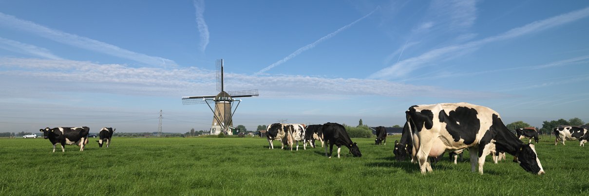 JMWCPijnenburg's profile banner image