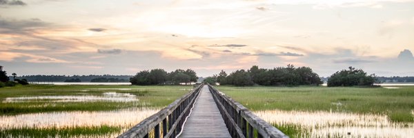 DCalli94 Profile Banner