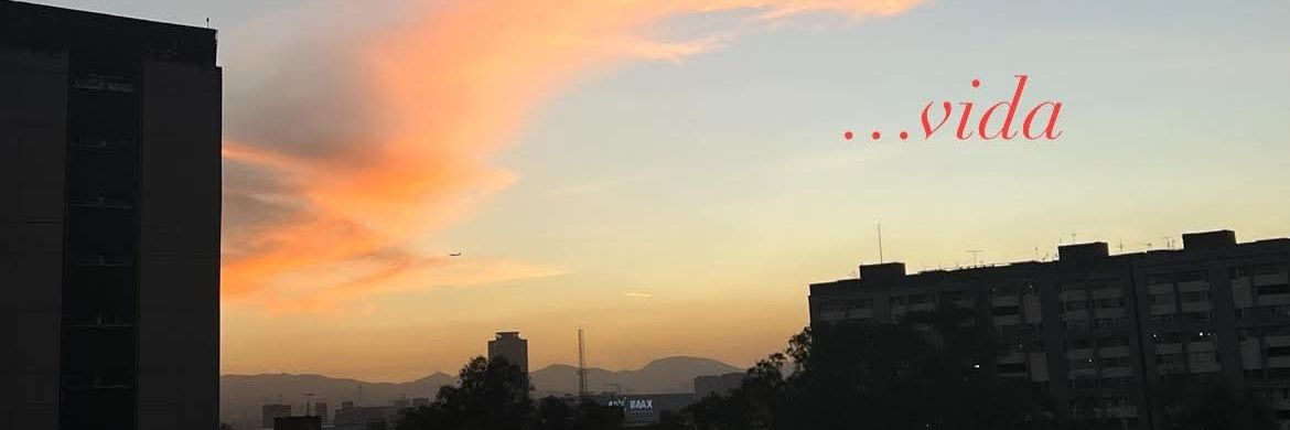 Judith SánchezReyes banner