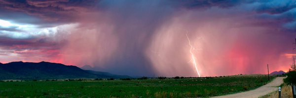 NWS Profile Banner