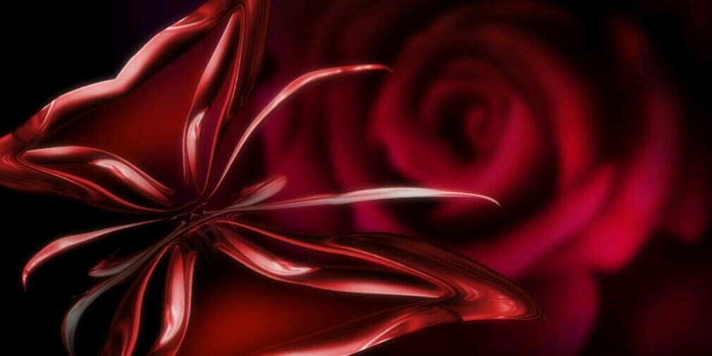 Laurena211's profile banner image