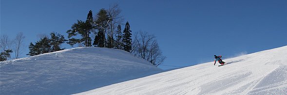 momo@メタボ系レジャースキーヤー/25-26シーズン48 banner