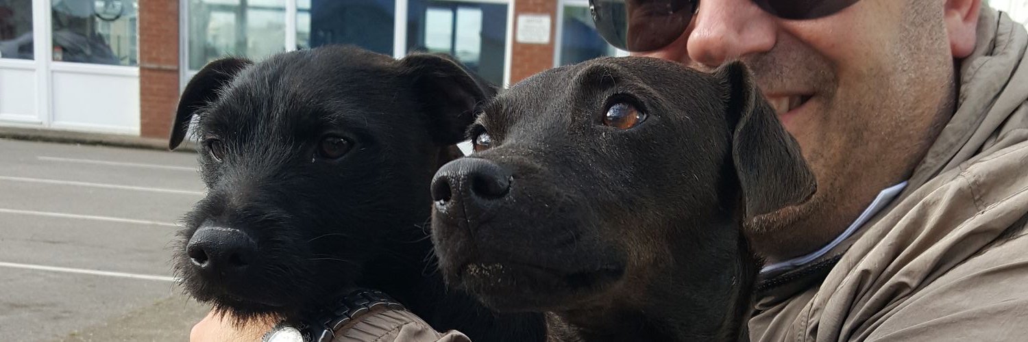 DebbieCowen's profile banner image