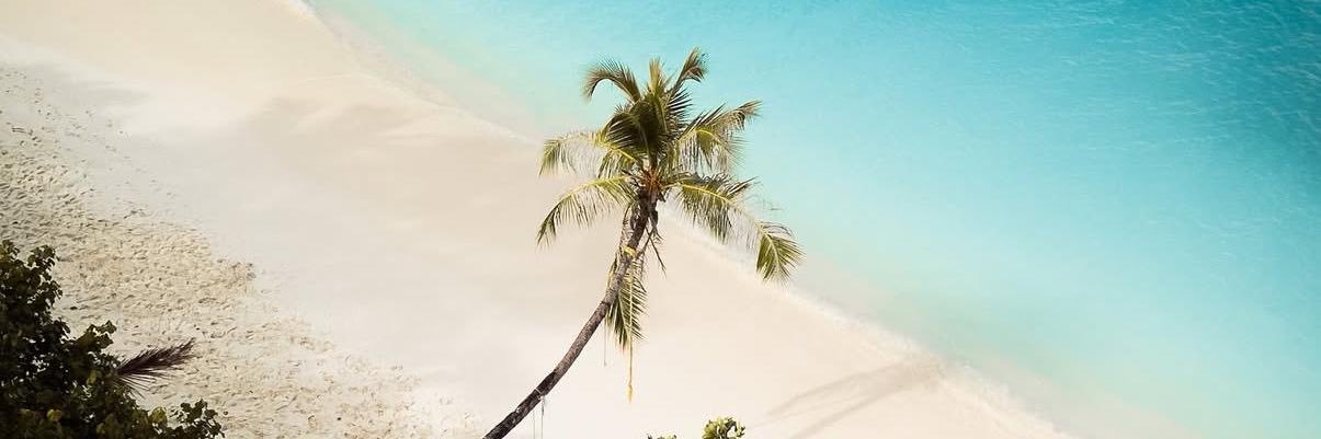 maaartasoler's profile banner image