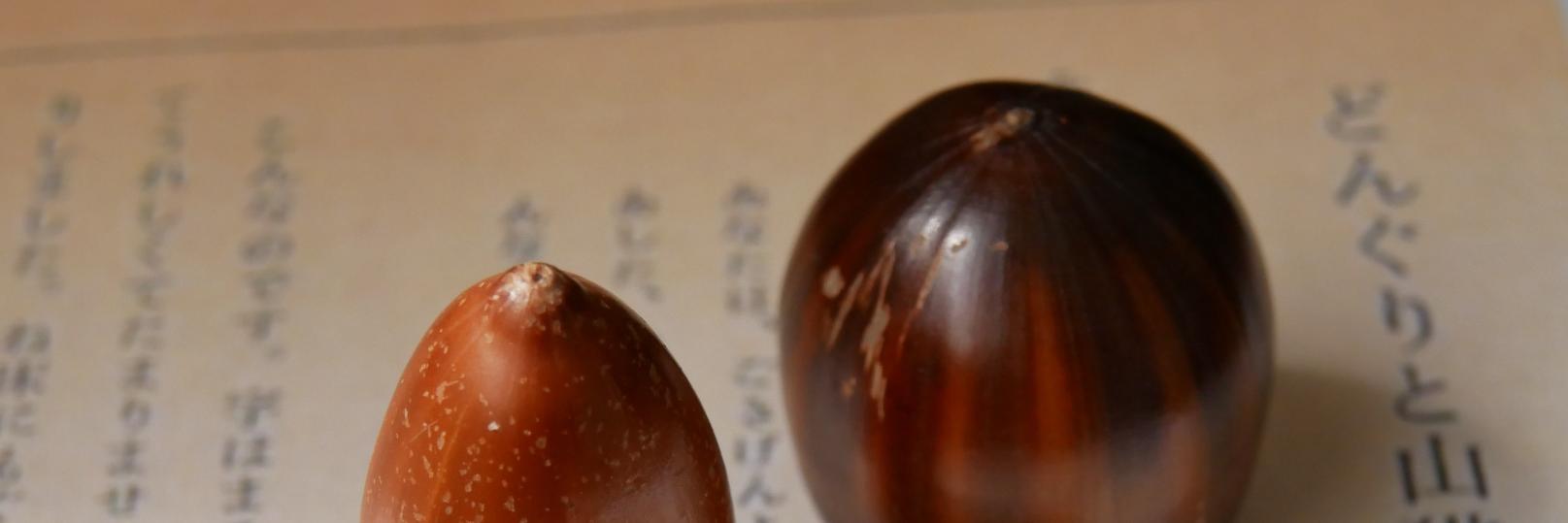 motsukun's profile banner image