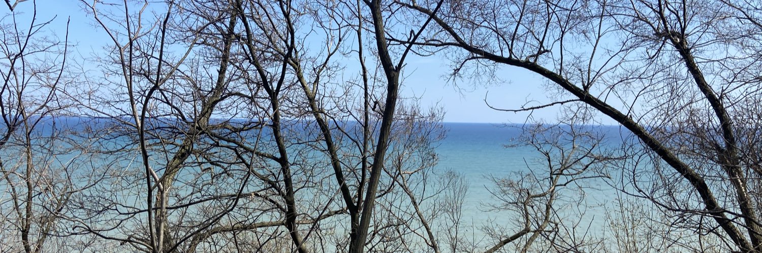 phyllisrocks's profile banner image
