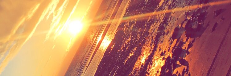 shellmarsh1's profile banner image