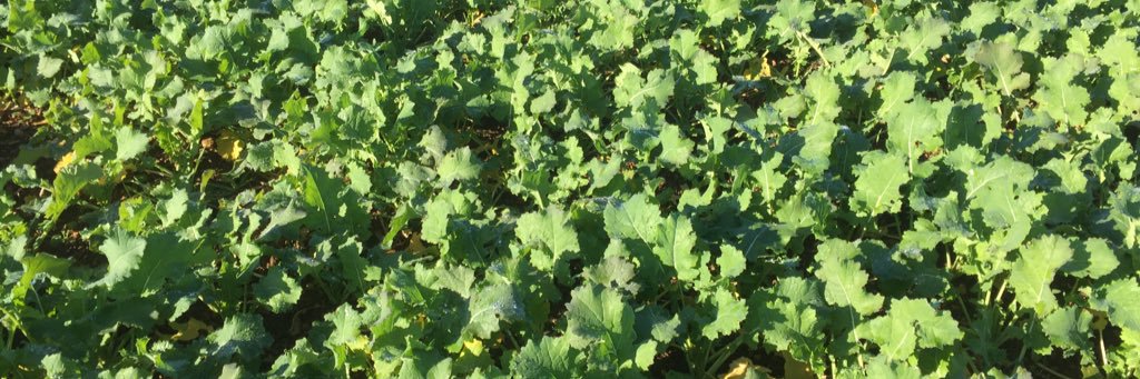 Martin Smart 💙 banner