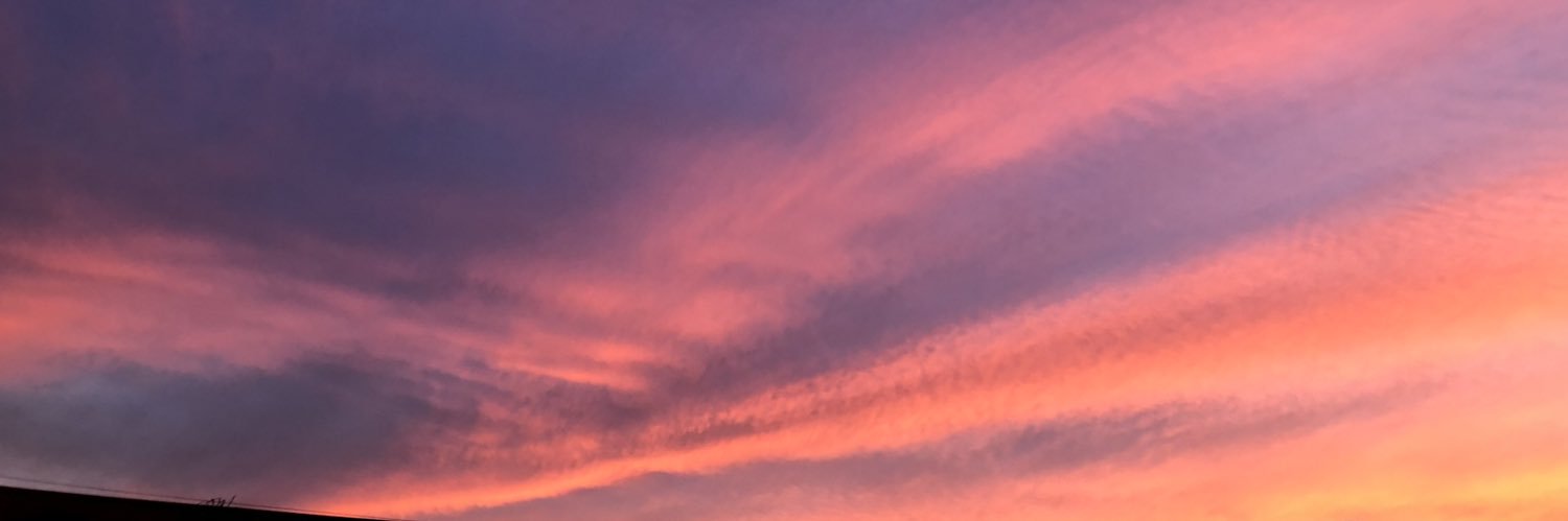 brunobarbierib1's profile banner image