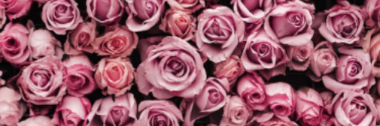 shariml's profile banner image