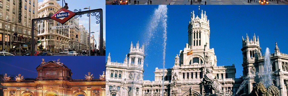 MariajoMolpe's profile banner image