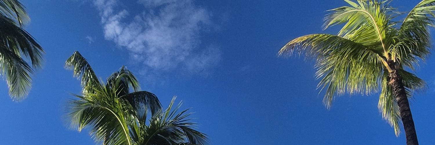 GrilloNanu's profile banner image