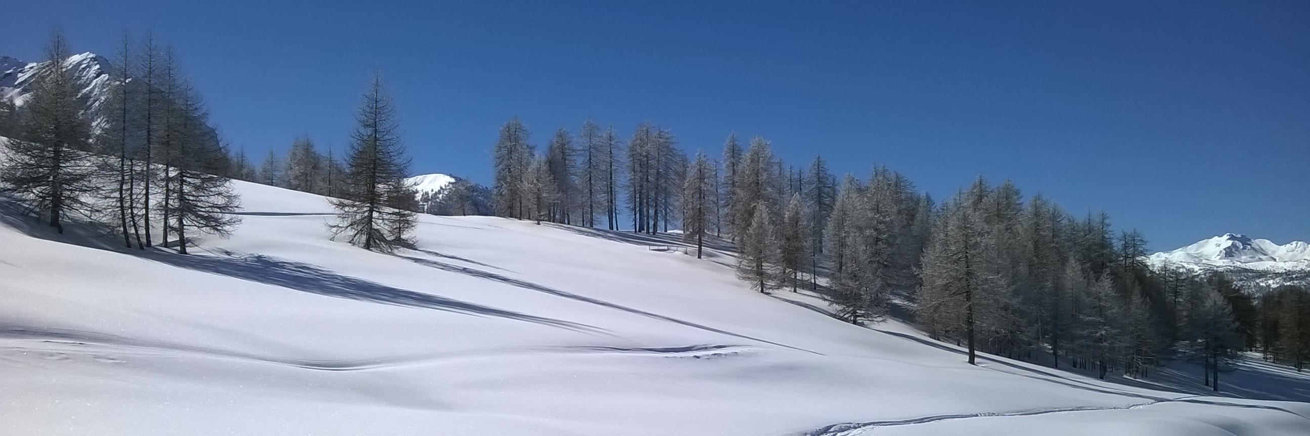codespano's profile banner image