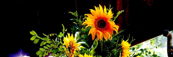 SoghettiSonia Profile Banner