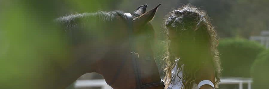 92bh's profile banner image
