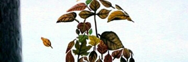 SihamHarrati's profile banner image