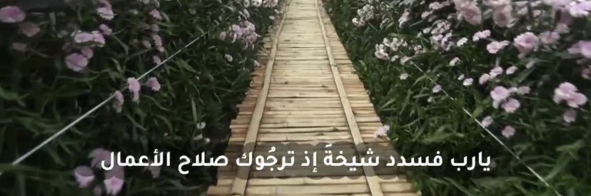 فجر الأمة ..💦🌧 banner