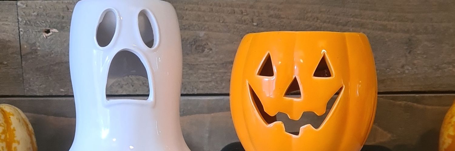 ringonoodle's profile banner image
