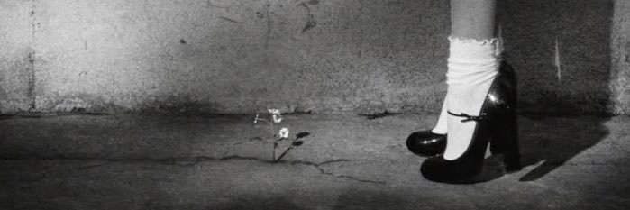 brighterrdvys's profile banner image