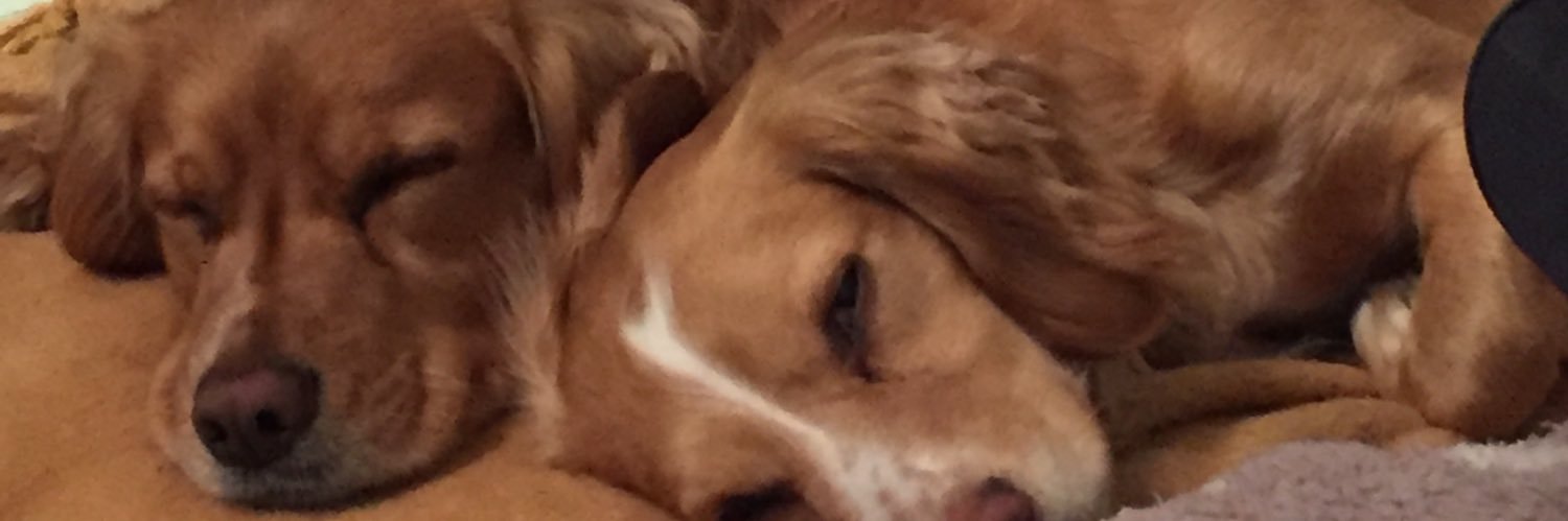 colingrandison's profile banner image