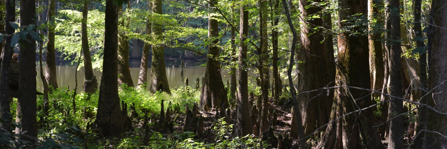CongareeNPS's profile banner image
