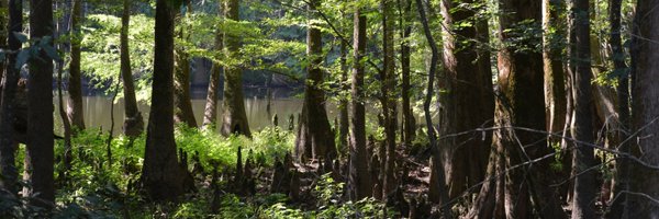 CongareeNPS Profile Banner