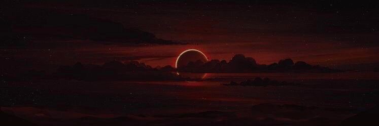 SeclusiveFeline's profile banner image
