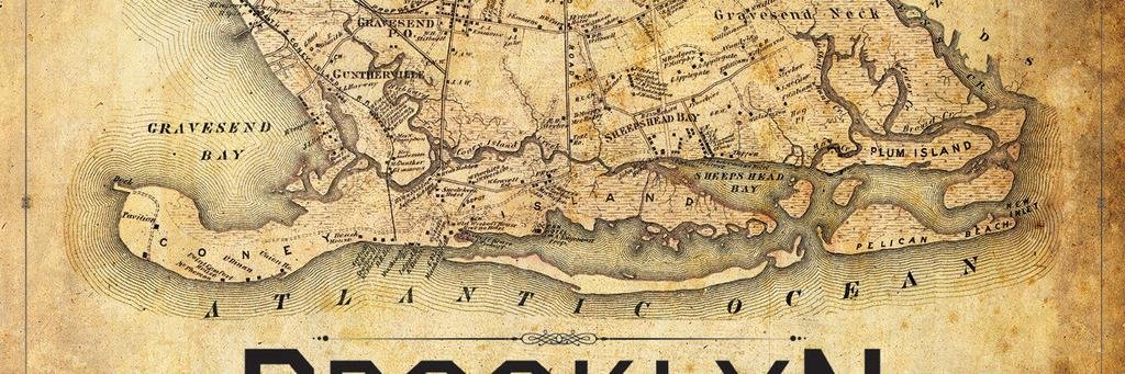 SSBrooklyn's profile banner image