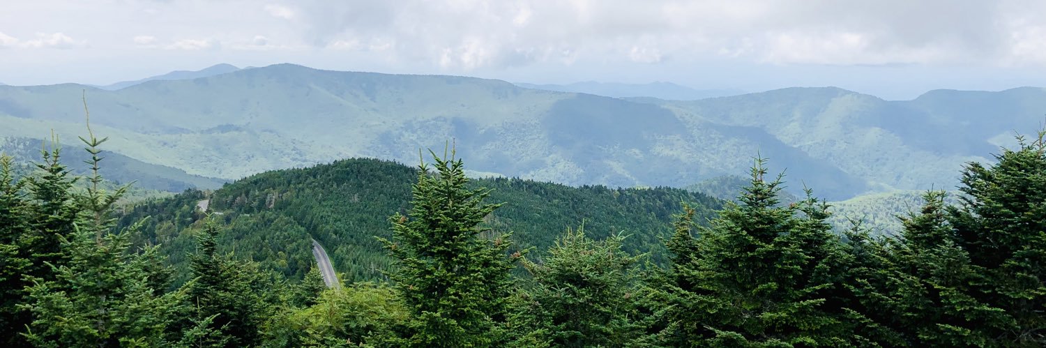 BrandieNic's profile banner image