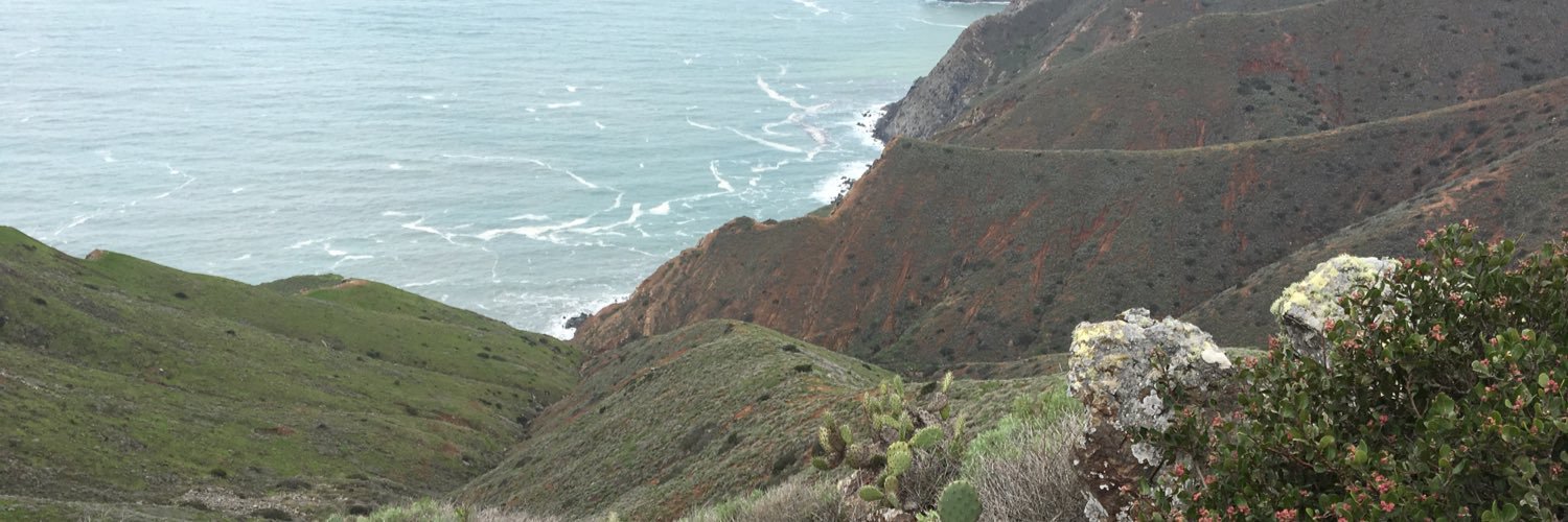 Aaron Wolfson banner