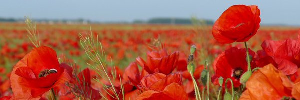 MsTatiaM Profile Banner