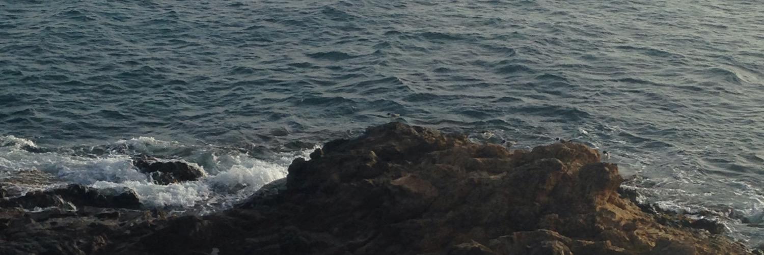Celena_V's profile banner image