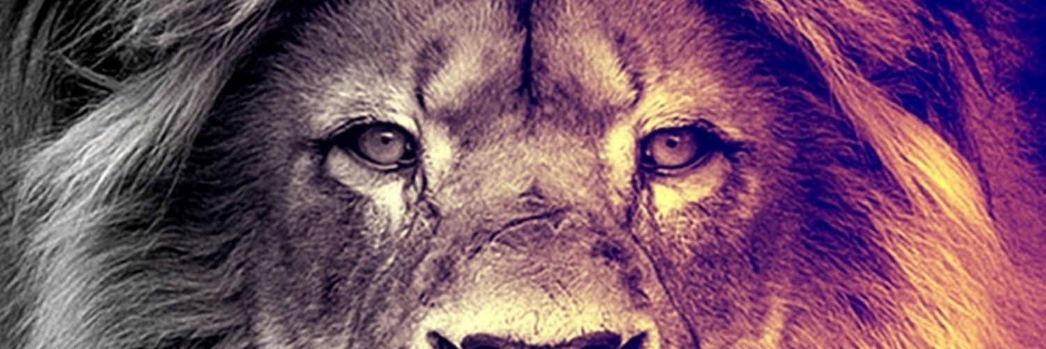 serhaTarakci's profile banner image