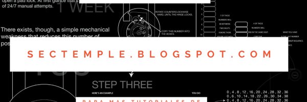 Securitytemple Profile Banner