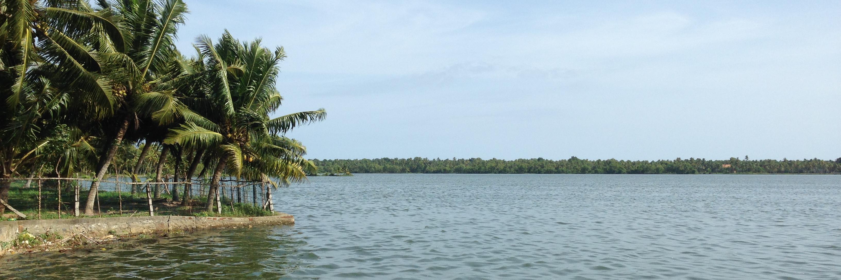 SajithJani's profile banner image