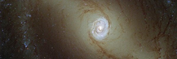 Poetro Profile Banner